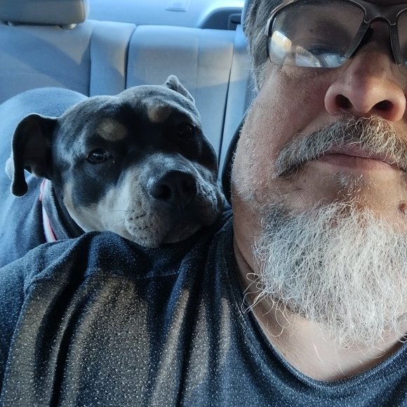 Meet your Posher, James - Picture 2 of 3